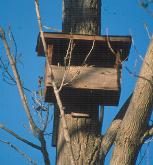 Nichoir à faucon crécerelle en bois